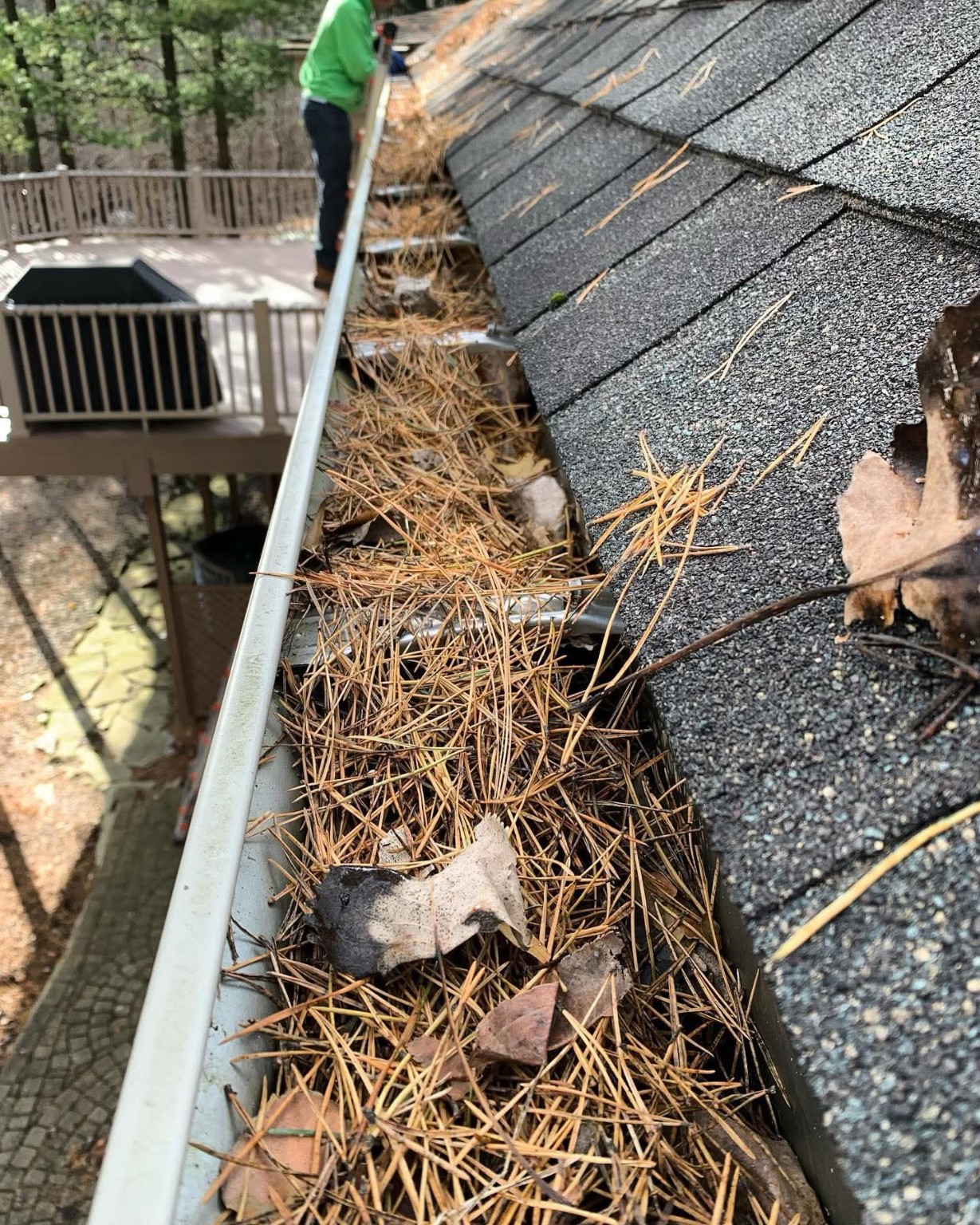 Clogged gutter before cleaning